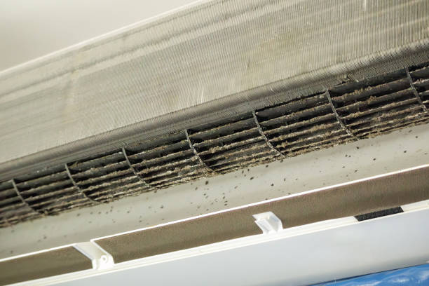 Best Ductwork Cleaning Services  in Onsted, MI